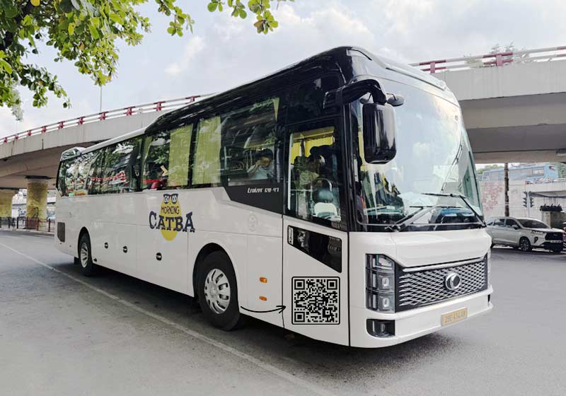 Top 3 hãng xe khách Hà Nội Cát Bà tốt nhất 2026 image