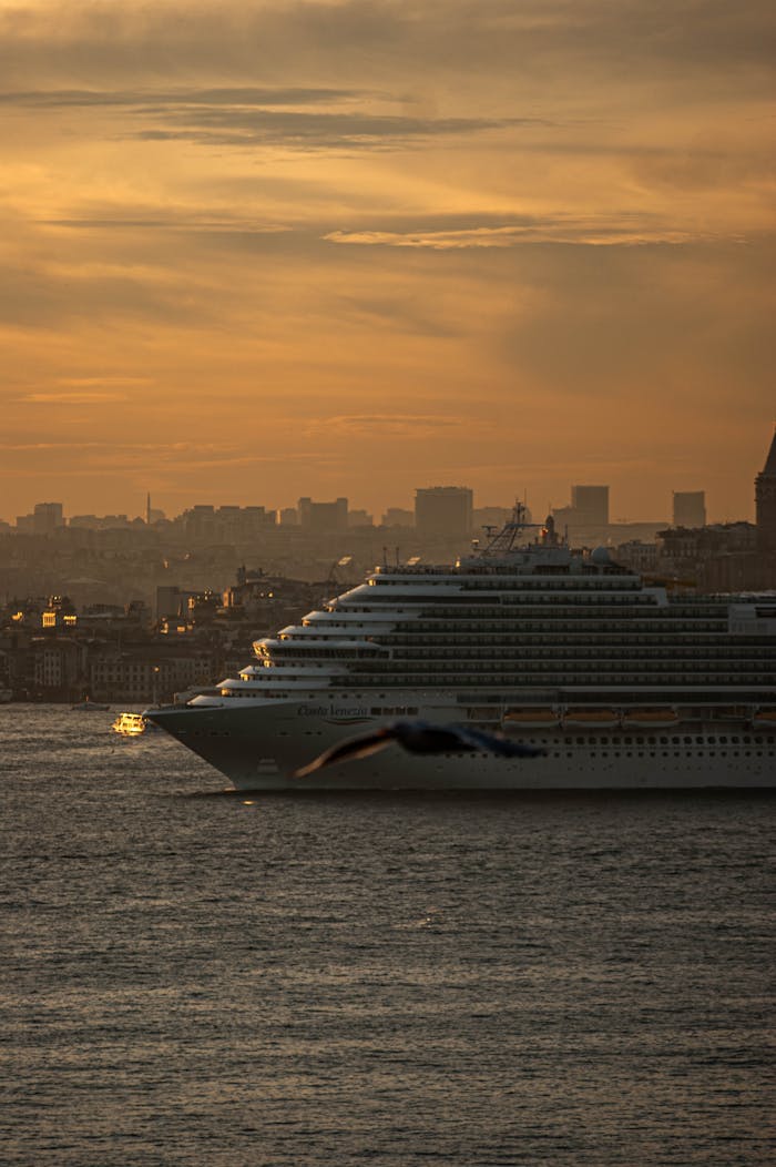 A cruise ship sailing at sunset with a city skyline in the background, creating a serene travel scene.